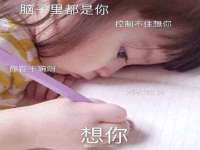 合肥市包河区东木临电子商务工作室