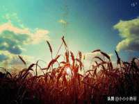 合肥市包河区东木临电子商务工作室