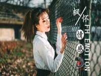 合肥市包河区东木临电子商务工作室