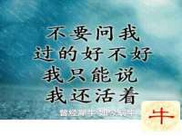 合肥市包河区东木临电子商务工作室