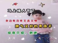 合肥市包河区东木临电子商务工作室
