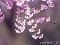 合肥市包河区东木临电子商务工作室