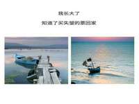 合肥市包河区东木临电子商务工作室
