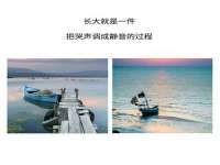 合肥市包河区东木临电子商务工作室