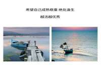 合肥市包河区东木临电子商务工作室