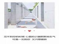 合肥市包河区东木临电子商务工作室