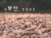 合肥市包河区东木临电子商务工作室