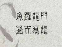 合肥市包河区东木临电子商务工作室