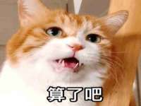 合肥市包河区东木临电子商务工作室