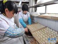 合肥市包河区东木临电子商务工作室