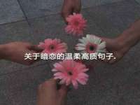 合肥市包河区东木临电子商务工作室