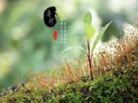 合肥市包河区东木临电子商务工作室