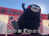 合肥市包河区东木临电子商务工作室