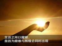 合肥市包河区东木临电子商务工作室
