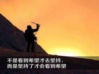 合肥市包河区东木临电子商务工作室