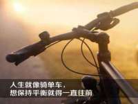 合肥市包河区东木临电子商务工作室