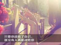合肥市包河区东木临电子商务工作室