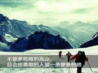 合肥市包河区东木临电子商务工作室