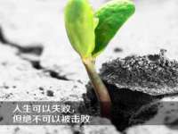 合肥市包河区东木临电子商务工作室