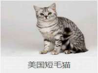 合肥市包河区东木临电子商务工作室
