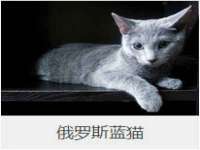 合肥市包河区东木临电子商务工作室