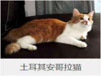 合肥市包河区东木临电子商务工作室