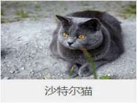 合肥市包河区东木临电子商务工作室