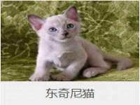 合肥市包河区东木临电子商务工作室