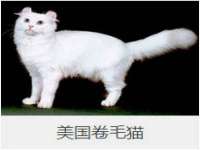 合肥市包河区东木临电子商务工作室