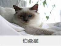 合肥市包河区东木临电子商务工作室