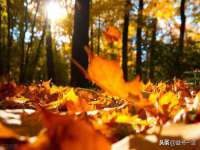 合肥市包河区东木临电子商务工作室