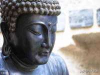 合肥市包河区东木临电子商务工作室