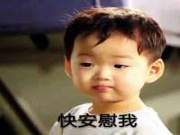 合肥市包河区东木临电子商务工作室