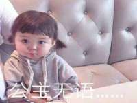 合肥市包河区东木临电子商务工作室
