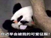 合肥市包河区东木临电子商务工作室