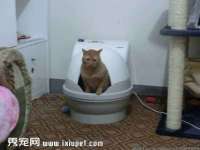 合肥市包河区东木临电子商务工作室