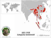 合肥市包河区东木临电子商务工作室