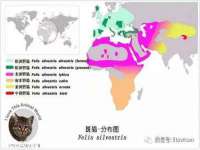 合肥市包河区东木临电子商务工作室