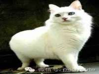 合肥市包河区东木临电子商务工作室