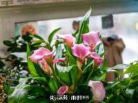 合肥市包河区东木临电子商务工作室