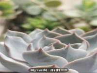合肥市包河区东木临电子商务工作室