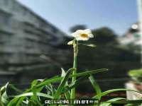 合肥市包河区东木临电子商务工作室