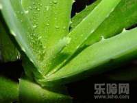 合肥市包河区东木临电子商务工作室