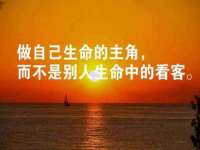 合肥市包河区东木临电子商务工作室
