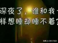 合肥市包河区东木临电子商务工作室