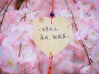 合肥市包河区东木临电子商务工作室