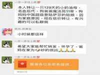 合肥市包河区东木临电子商务工作室