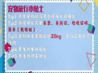 合肥市包河区东木临电子商务工作室