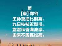 合肥市包河区东木临电子商务工作室