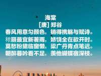 合肥市包河区东木临电子商务工作室